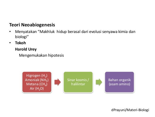 Contoh Analogi Pada Biologi - Img Your