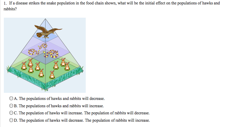 Bant food chain by mei0024. 7 South Food Chain Gizmo Quiz