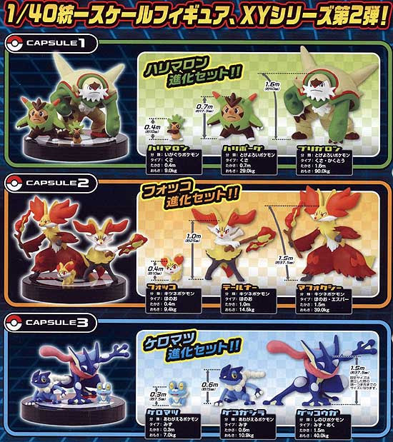 人気のコレクション ポケモン Xy 図鑑 一覧 検索画像の壁紙