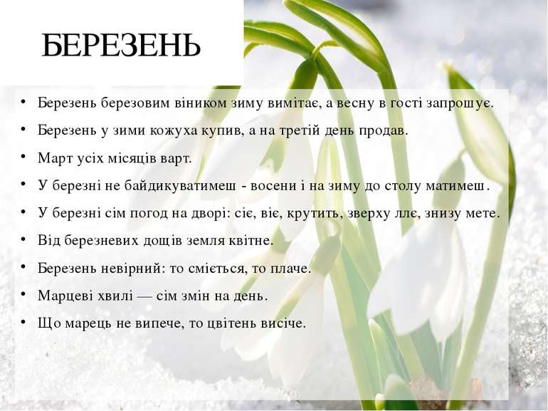 Результат пошуку зображень за запитом "березень"