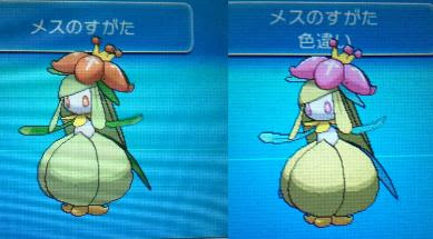 最新ポケモン Xy チュリネ ただぬりえ