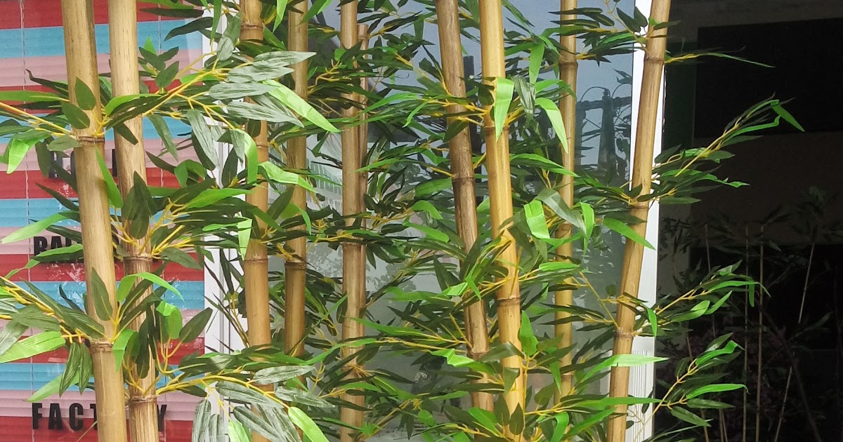 Pohon Natal Dari  Ranting Bambu  Membuat  Pohon Natal Dari  