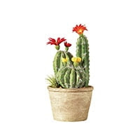 Faux flowering cactus plants in a pot