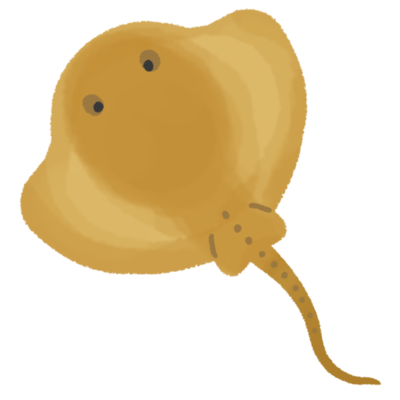動物画像のすべて 最高かつ最も包括的なエイ イラスト かわいい