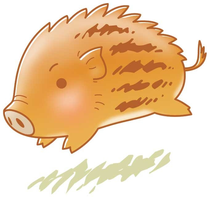 動物の画像について ユニークうり坊 イラスト かわいい