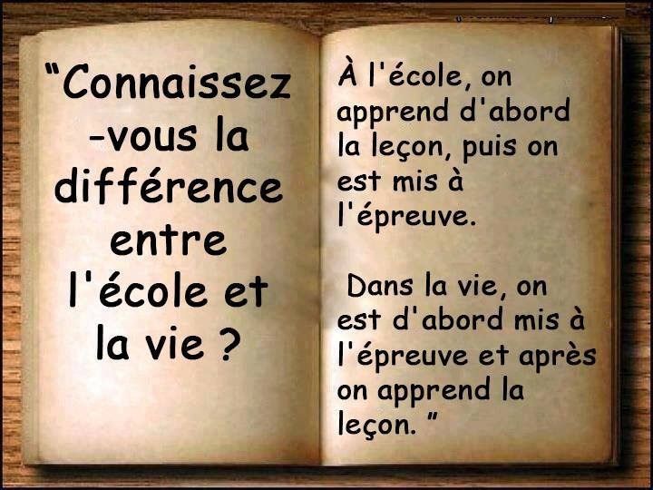 Image De Citation Citation Sur La Vie Lecon