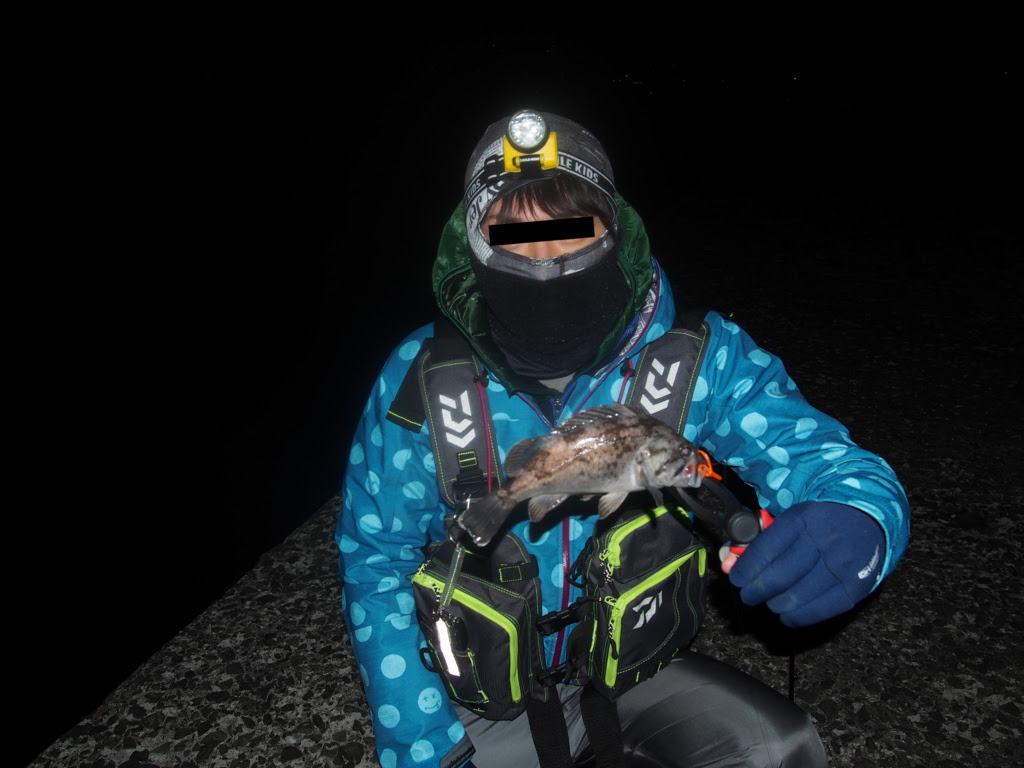 心に強く訴える夜釣り 装備 すべての魚の画像