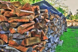 Black locust is one of those woods where a moisture meter is really useful. Firewood Drying Times By Species For Firewood