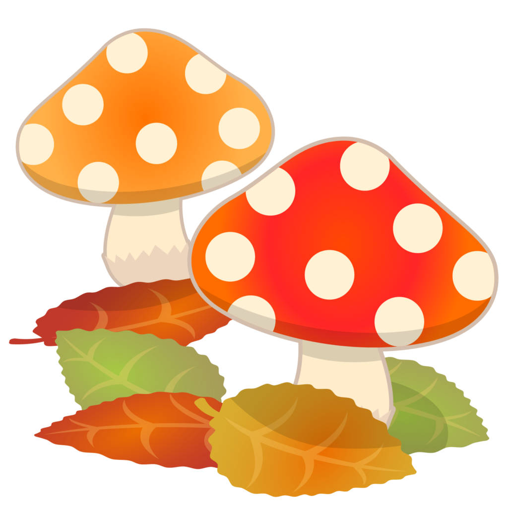 最高の動物画像 ぜいたく11月 イラスト きのこ