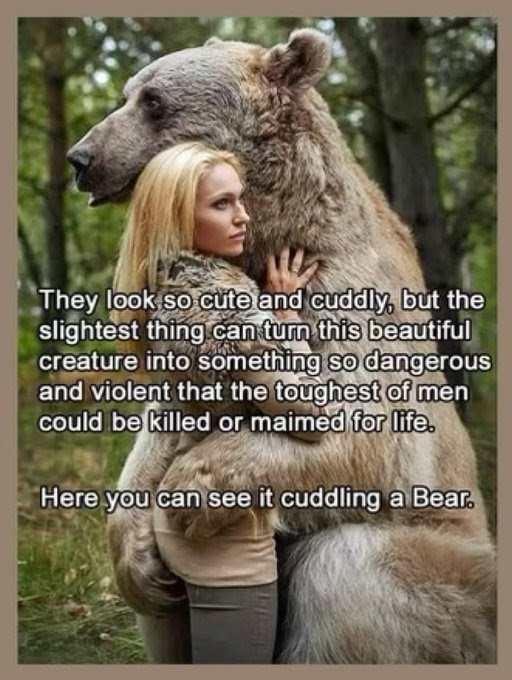 A pretty blonde hugging a large bear. With a caption implying the bear is in trouble.