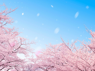 スマホ 桜 壁紙 の最高のコレクション 最高の花の画像
