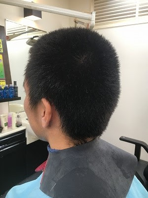 ラブリー 坊主 に した あと の 髪型 ヘアスタイルギャラリー