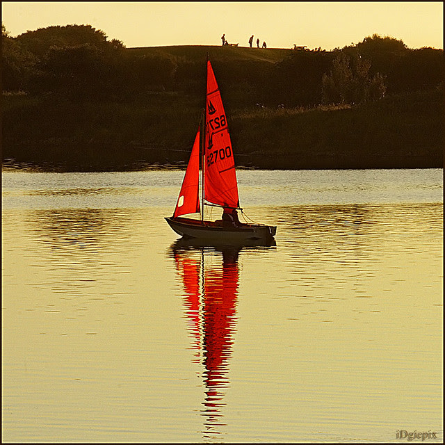 Mirror sailing dinghy plans boat plans self project