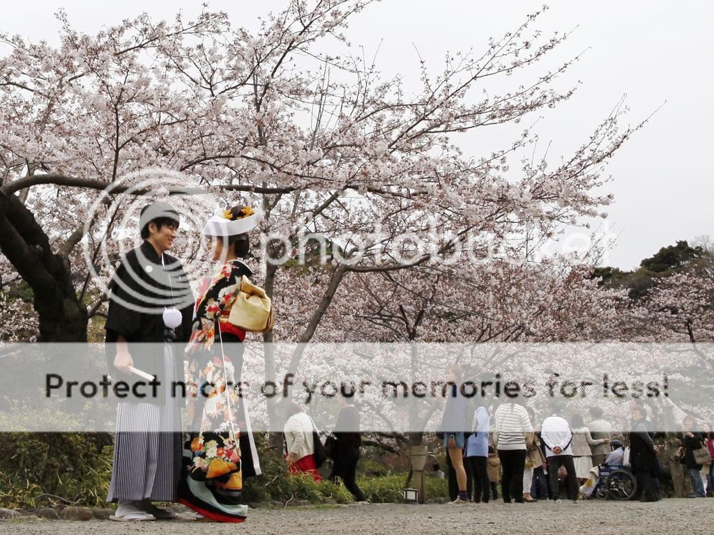 Một cặp đôi đến chụp ảnh cưới ở công viên Sankeien, Yokohama, phía nam Tokyo.