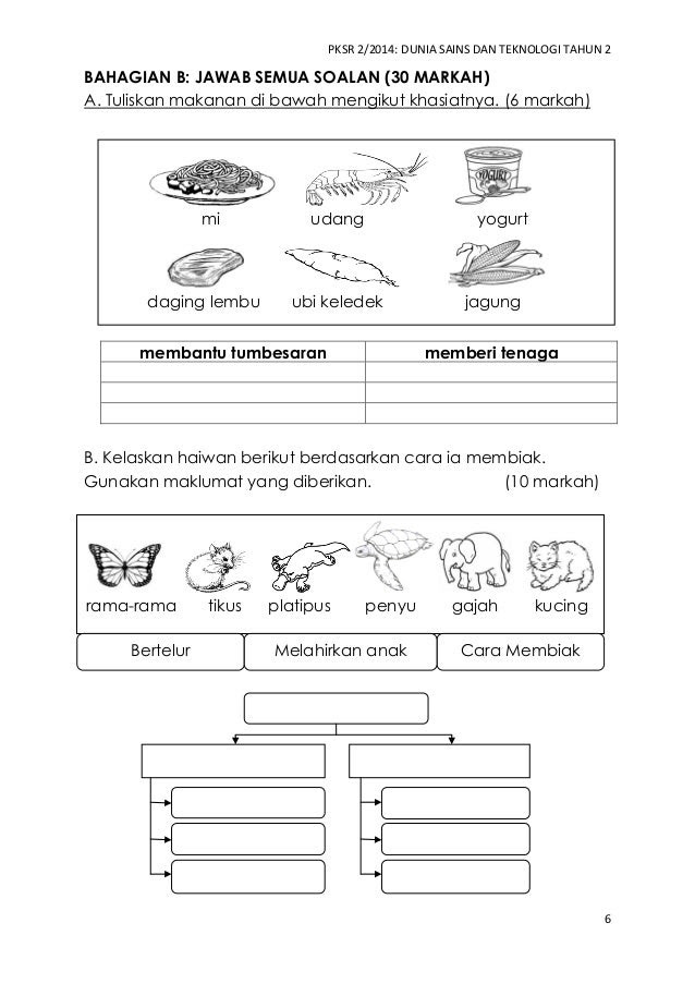 Soalan Ulangkaji Sains Tahun 4 - Kuora j