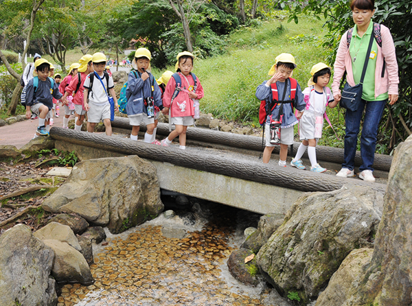 35 淡島幼稚園 月謝 人気のある画像を投稿する