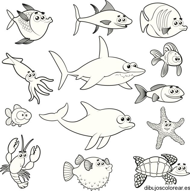 Es un animal muy parecido a la salamandra. Laminas De Mascotas Para Colorear Para Kindergarten Imagui
