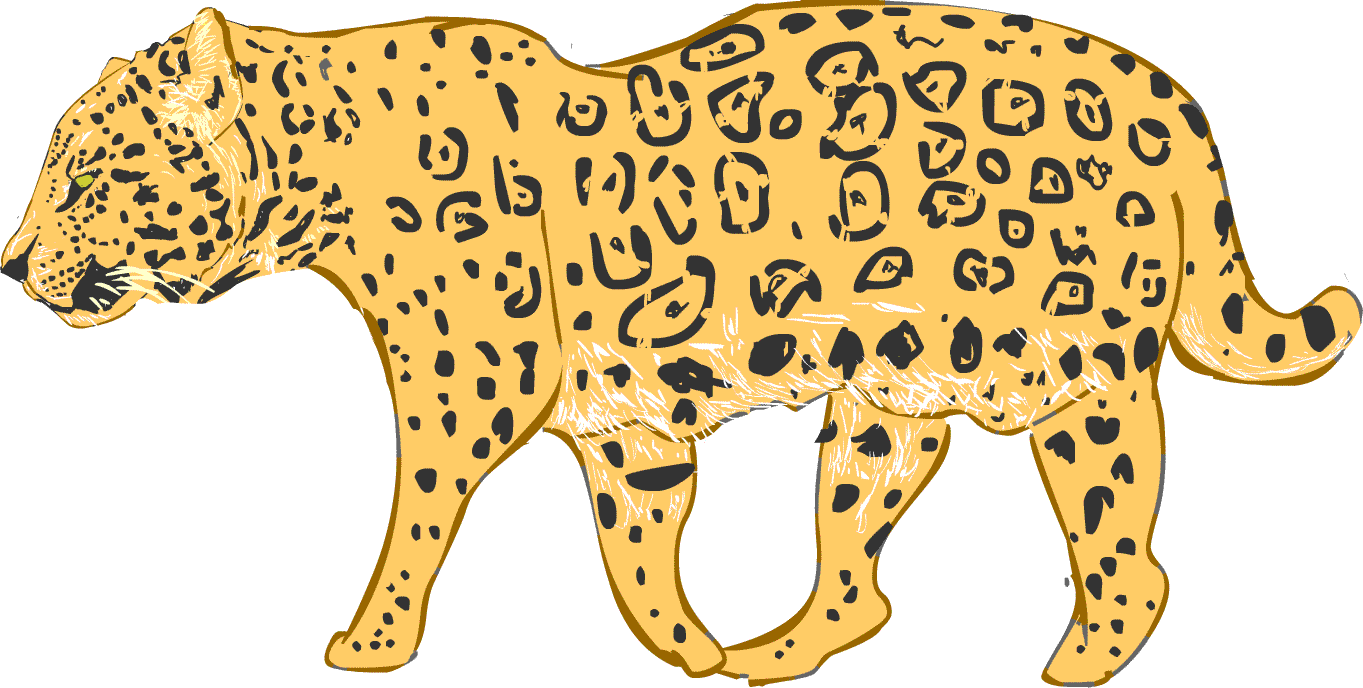 無料イラスト画像 無料ダウンロードチーター の イラスト