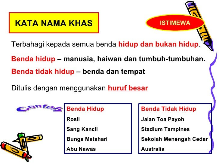 Contoh Hewan Avertebrata Dan Nama Latinnya - Ternyata 