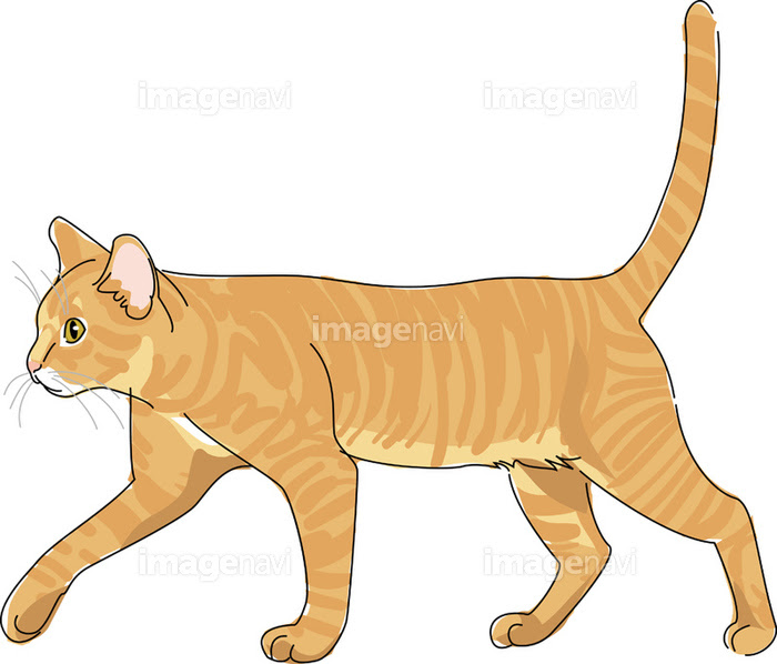 Freemuryoqbyidf 画像をダウンロード 猫 横向き イラスト 猫 横向き イラスト