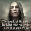 Native American Wisdom, Sayings, Quotes, Philosophy : Pearls Of windows, wisdom, wishes and dreams in motions, in the light of day.