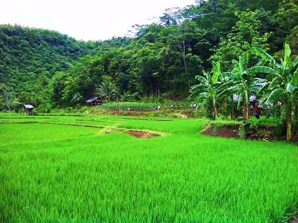 Gambar Animasi  Rumah Dan Pemandangan  Gambar Con