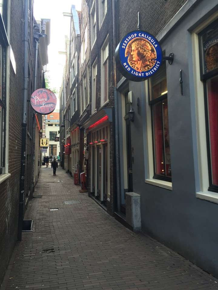 Conocer Amsterdam al ritmo de sus bicicletas