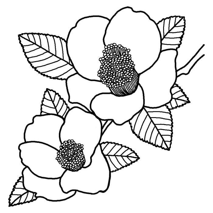 かわいいディズニー画像 ベスト50 1月 花 イラスト 白黒