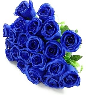ぜいたく青い 薔薇 作り方 すべての美しい花の画像