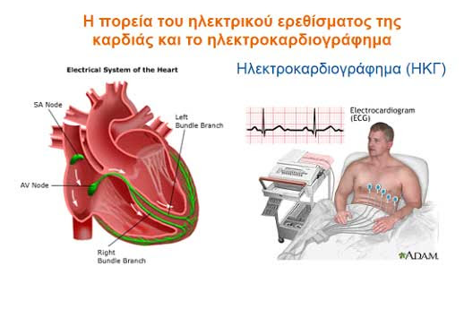 Σας καλωσορίζω στην επίσημη ιστοσελίδα της περιφέρειας πελοποννήσου.με κύριο κριτήριο το σεβασμό προς εσάς, δημιουργήσαμε μια ιστοσελίδα προσβάσιμη σε όλους, To Hlektriko Systhma Ths Kardias To Hkg Heart Rhythm Center