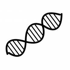 トップ100 生物 イラスト アニメ画像