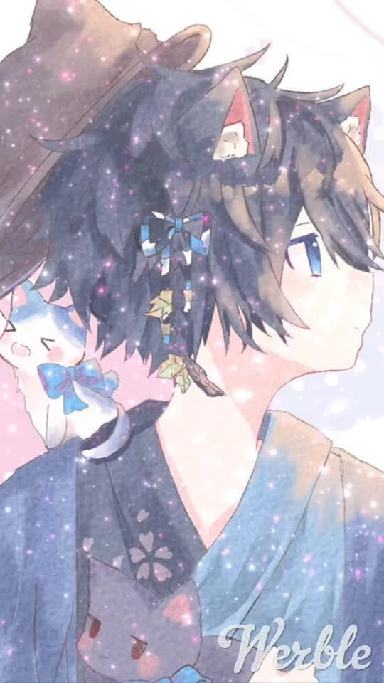 綺麗なそら る 壁紙 最高の花の画像