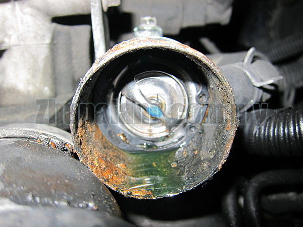20+ Radiator Coolant Proton Persona