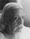 Aurobindo