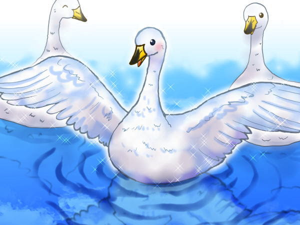 美しい花の画像 トップ100 白鳥 イラスト 簡単