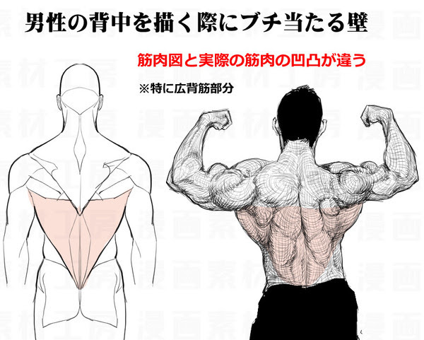 100 Epic Best筋肉 背中 イラスト ディズニー画像のすべて