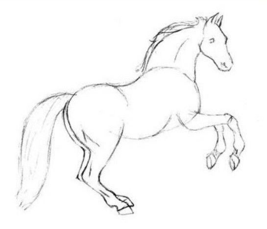 Image of 1001 ideas for cute easy drawings to improve your. Free Horse Drawing Easy Download Free Horse Drawing Easy Png Images Free Cliparts On Clipart Library