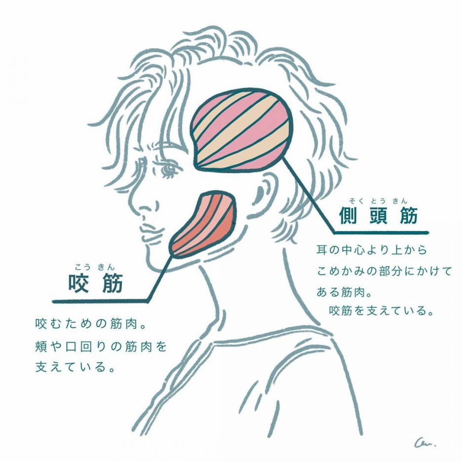 最も人気のある 頭 上から イラスト 頭 上から イラスト Ikiikukowejvud
