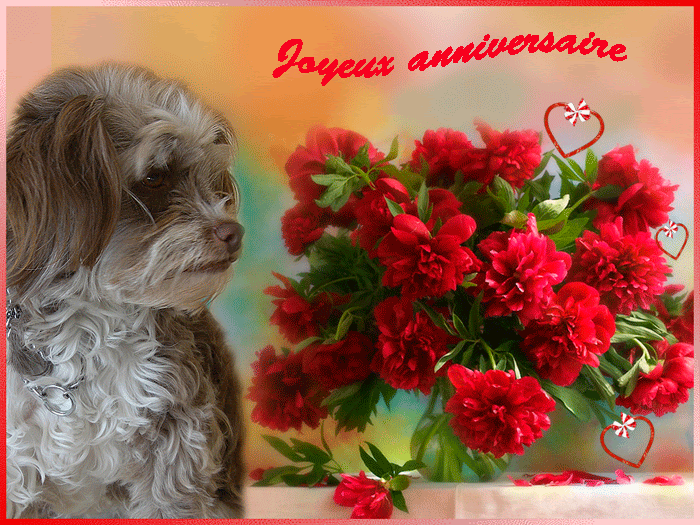 Carte Virtuelle Anniversaire Fleurs Nanaryuliaortega Blog