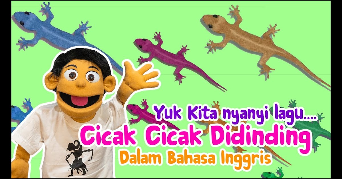 Lirik Lagu Cicak Cicak Di Dinding Dalam Bahasa Inggris