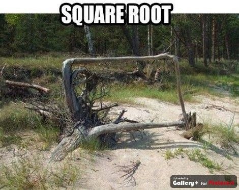 Mastering Olympiad Mathematics Math Joke Square Root