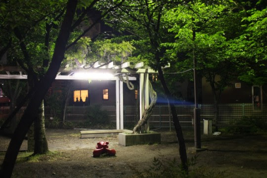 動物の画像について 50 夜 公園 イラスト フリー