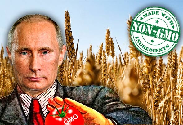 putin-nogmo