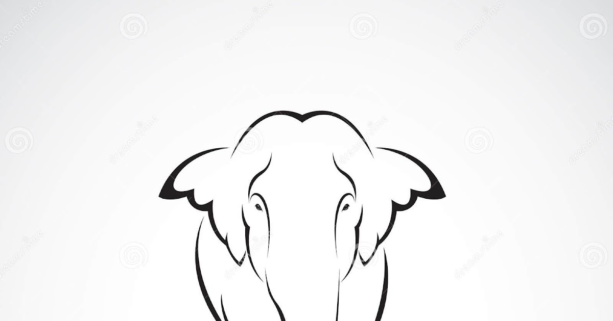 Elephant Simple Wild Animal Drawings Mundopeje