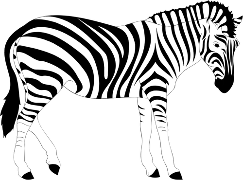 Istimewa Sketsa Gambar Zebra, Mewarnai Anak Tk