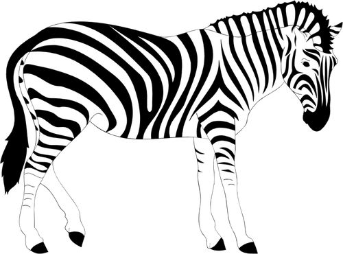 Istimewa Sketsa Gambar Zebra, Mewarnai Anak Tk