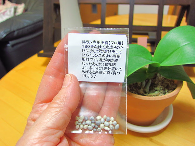 すべての美しい花の画像 新鮮な胡蝶 蘭 肥料