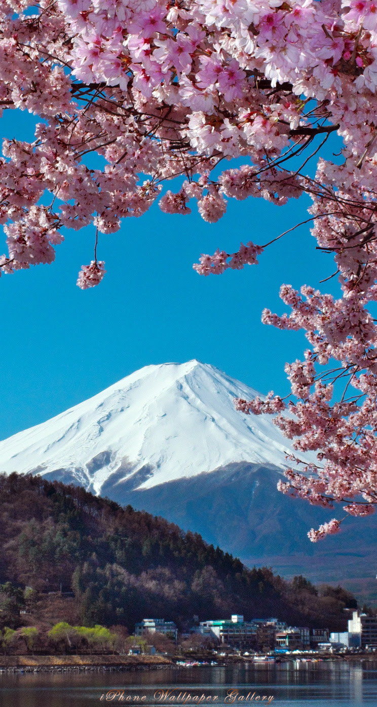 最高のコレクション 富士山 画像 壁紙 Jpbestwallpaper