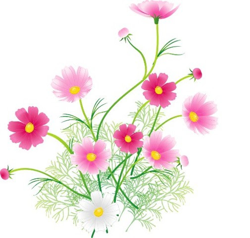 コンプリート 秋の花イラスト 2250 秋の花イラスト Saikonomuryofuse