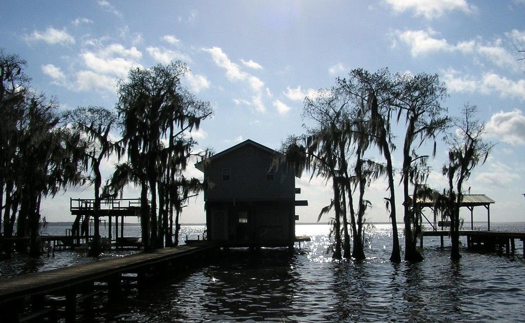 Beach House Rentals In Louisiana